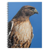 Magnificante Red-Tailed Hawk in de zon Notitieboek (Voorkant)