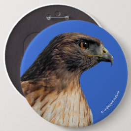 Magnificante Red-Tailed Hawk in de zon Ronde Button 6,0 Cm