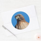 Magnificante Red-Tailed Hawk in de zon Ronde Sticker (Envelop)
