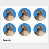 Magnificante Red-Tailed Hawk in de zon Ronde Sticker (Vel)