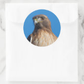 Magnificante Red-Tailed Hawk in de zon Ronde Sticker (Tas)