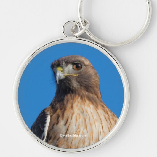 Magnificante Red-Tailed Hawk in de zon Sleutelhanger (Voorkant)