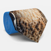 Magnificante Red-Tailed Hawk in de zon Stropdas (Opgerold)