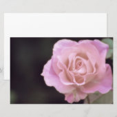 Magnificante roze Rose Briefpapier (Voorkant / Achterkant)