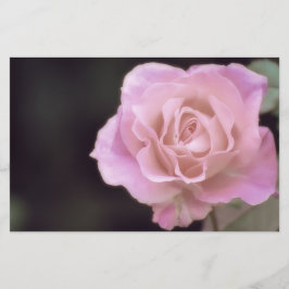 Magnificante roze Rose Briefpapier