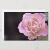 Magnificante roze Rose Briefpapier (Voorkant / Achterkant)