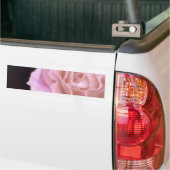 Magnificante roze Rose Bumpersticker (Op Truck)