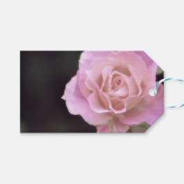 Magnificante roze Rose Cadeaulabel