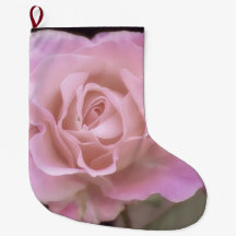 Magnificante roze Rose