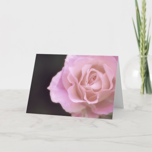 Magnificante roze Rose Kaart (Voorkant)