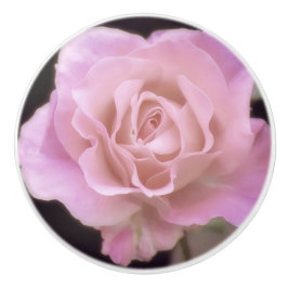 Magnificante roze Rose Keramische Knop