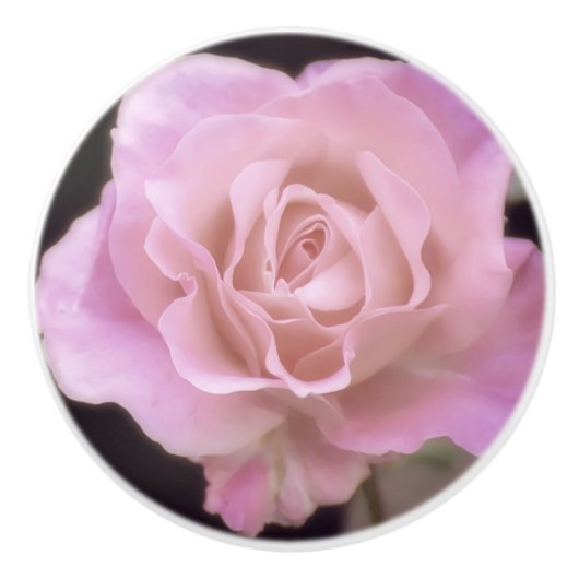 Magnificante roze Rose Keramische Knop (Voorkant)