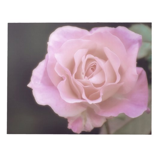 Magnificante roze Rose Notitieblok (Voorkant)