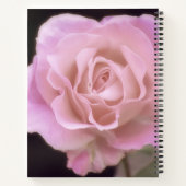 Magnificante roze Rose Notitieboek (Achterkant)