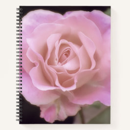 Magnificante roze Rose Notitieboek