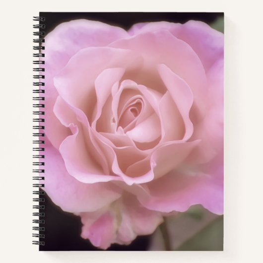 Magnificante roze Rose Notitieboek (Voorkant)