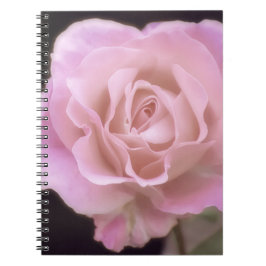 Magnificante roze Rose Notitieboek