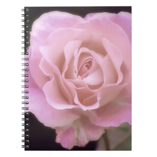 Magnificante roze Rose Notitieboek (Voorkant)