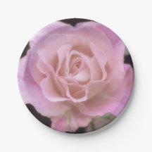 Magnificante roze Rose