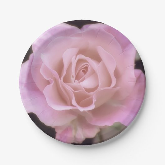 Magnificante roze Rose Papieren Bordje (Voorkant)