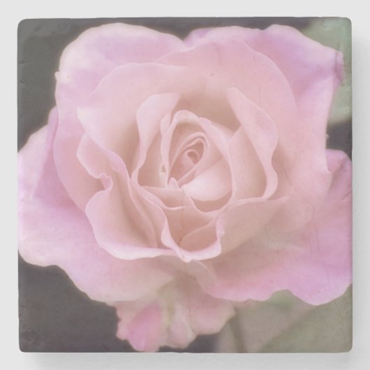 Magnificante roze Rose Stenen Onderzetter (Voorkant)