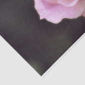 Magnificante roze Rose Tissuepapier (Detail)