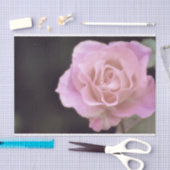 Magnificante roze Rose Tissuepapier (Craft)