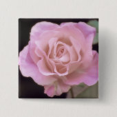 Magnificante roze Rose Vierkante Button 5,1 Cm (Voorkant)