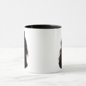 Magnificent Black Stallion Mok (Midden)