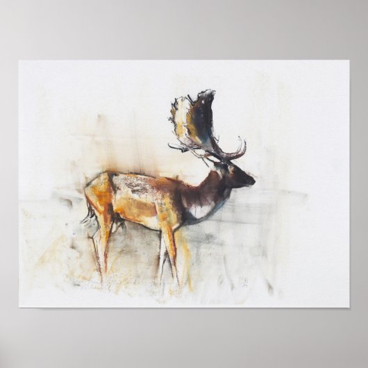 Magnificent Fallow Buck 2006 Poster (Voorkant)