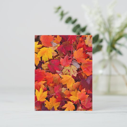 Magnificent Maple Leaves Briefkaart (Staand voorkant)