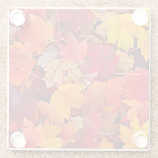 Magnificent Maple Leaves Glazen Onderzetter (Achterkant)