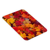 Magnificent Maple Leaves Magneet (Rechterzijde)