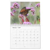 Magnificent Monarchs 2025 Kalender (Feb 2027)