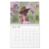 Magnificent Monarchs 2025 Kalender (Feb 2026)