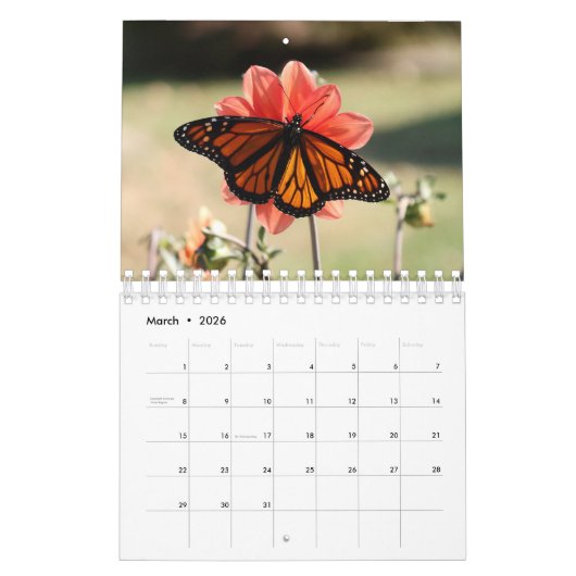 Magnificent Monarchs 2025 Kalender (Mar 2026)