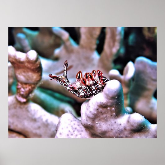 Magnificent Nudi Poster (Voorkant)