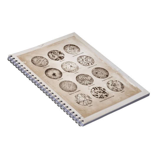 Magnified Bacteria  Medicinal Chart Notitieboek (Rechterzijde)