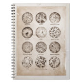 Magnified Bacteria  Medicinal Chart Notitieboek (Voorkant)