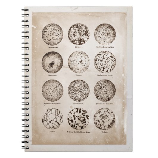 Magnified Bacteria Medicinal Chart Notitieboek (Voorkant)