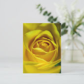 Magnifiek geel rozenmacroafbeelding briefkaart (Staand voorkant)
