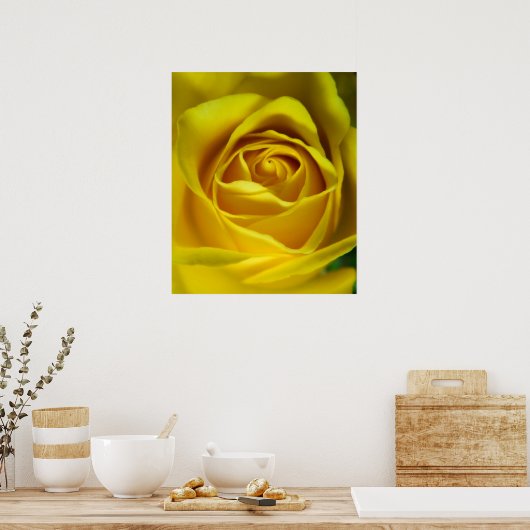 Magnifiek geel rozenmacroafbeelding poster (Keuken)