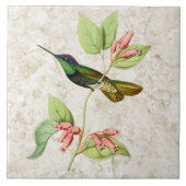 Magnifieke Hummingbird Ceramic Tile Tegeltje (Voorkant)