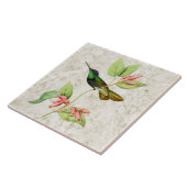 Magnifieke Hummingbird Ceramic Tile Tegeltje (Zijkant)