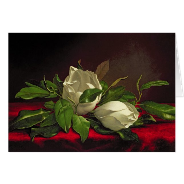 Magnolia (Voorkant Horizontaal)