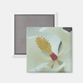 Magnolia1 Magneet (Voorkant / Achterkant)