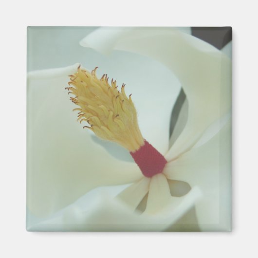 Magnolia1 Magneet (Voorkant)