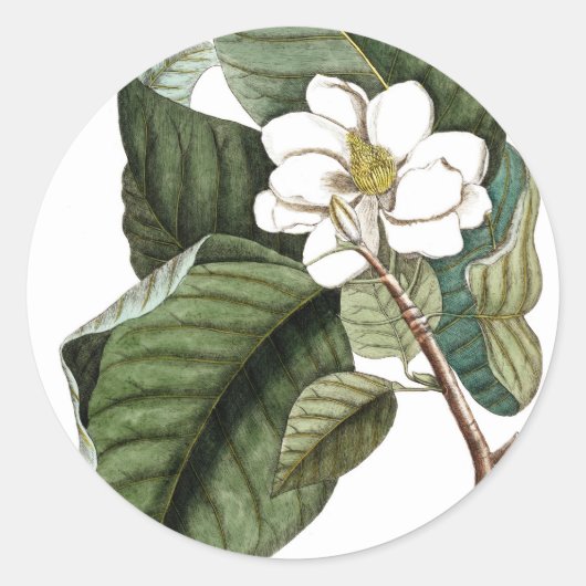 Magnolia #10 Botanische kunst cadeau voor haar Ronde Sticker (Voorkant)