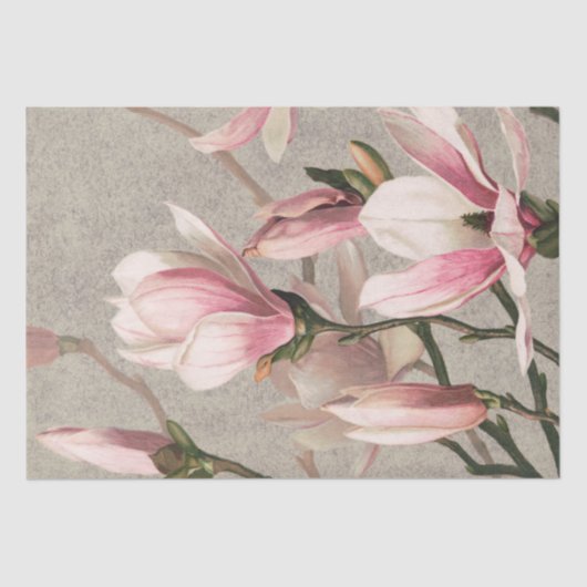 Magnolia (1886) tissuepapier (Voorkant)