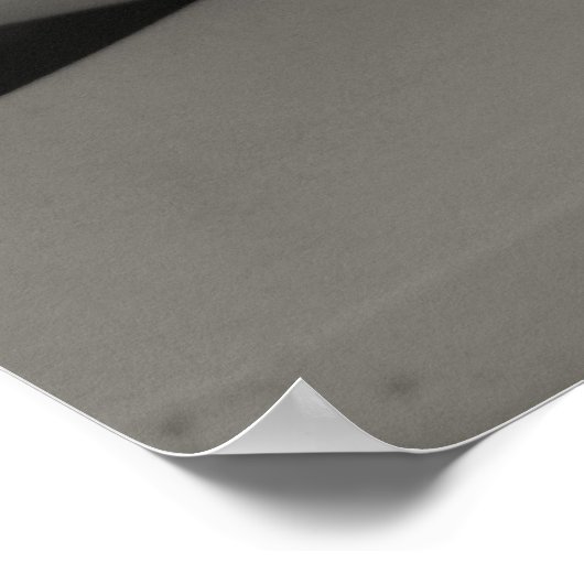 Magnolia 1, 2009 poster (Hoek)